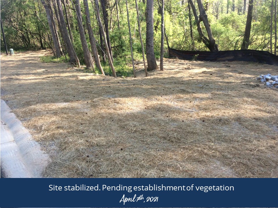 A serene field with lush grass and trees in the background under a clear blue sky